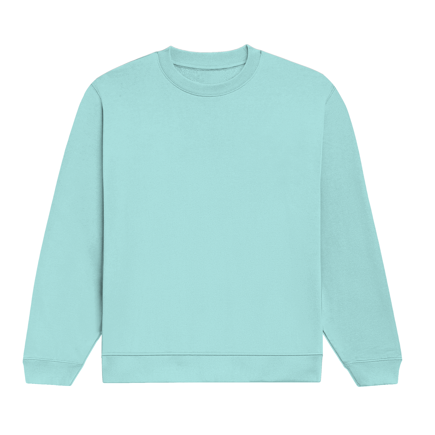 Basic Monster Crew Mint Front