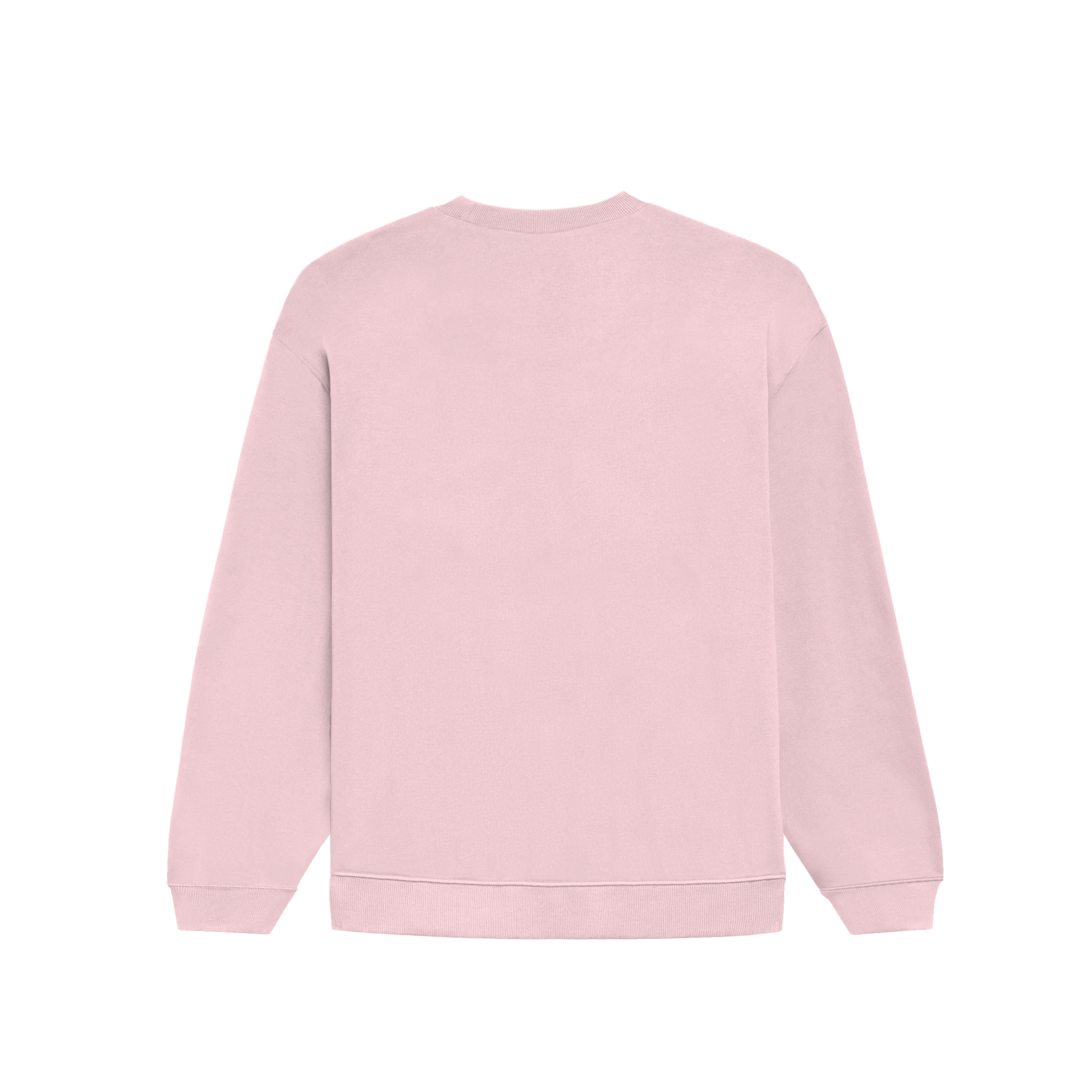 Basic Oversized Crew Light Pink Back