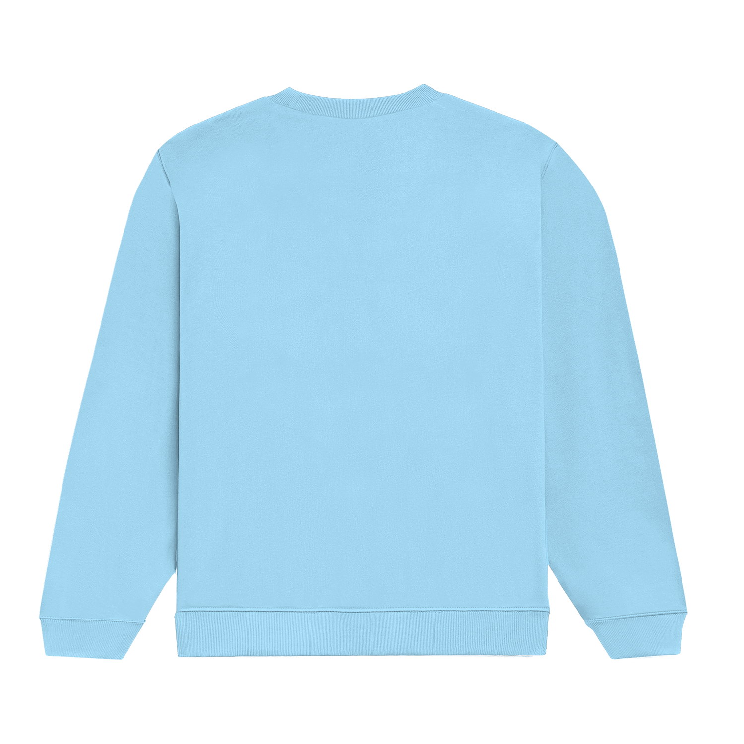 Basic Regular Crew Baby Blue Back