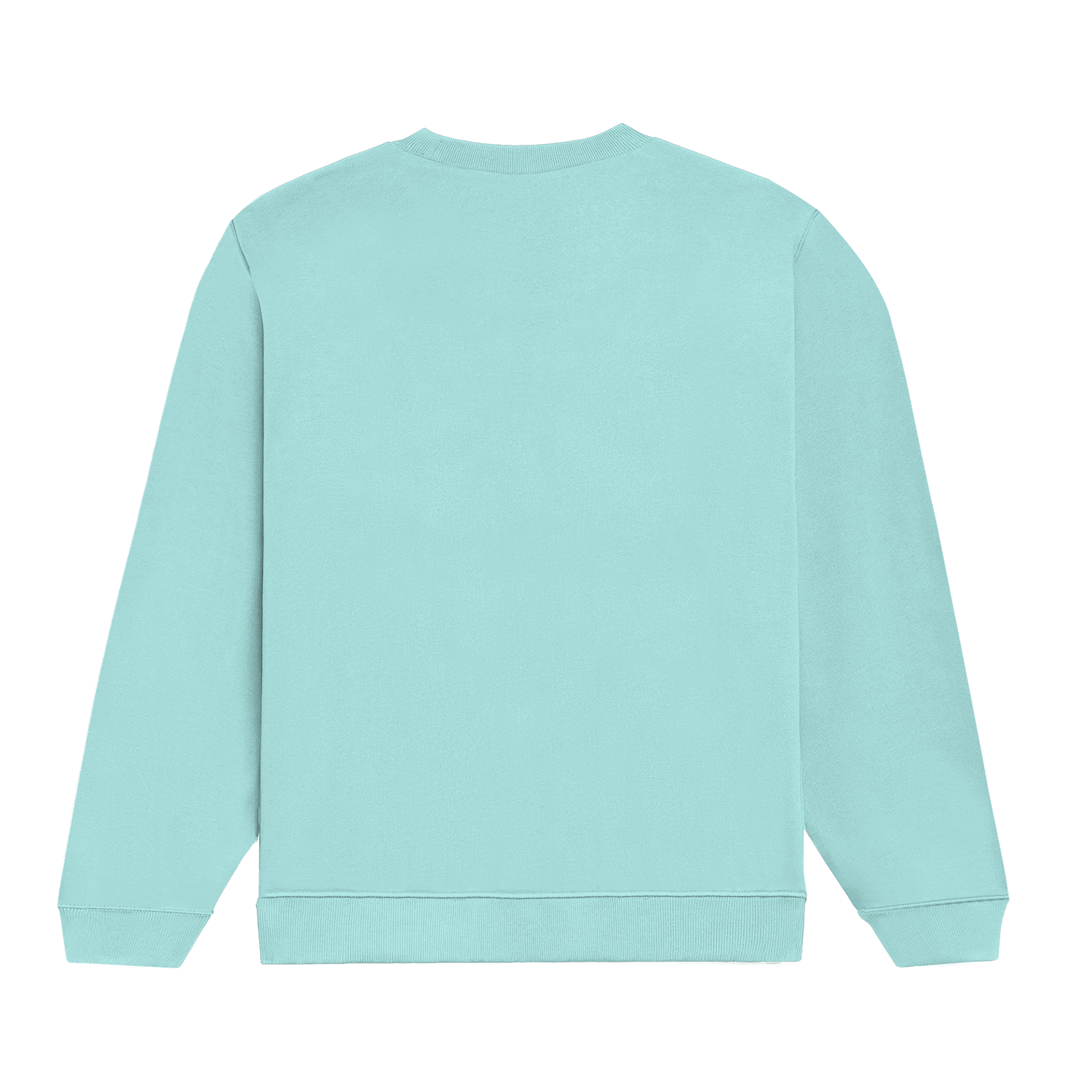 Basic Regular Crew Mint Back